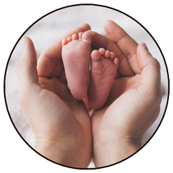 Web Nursery